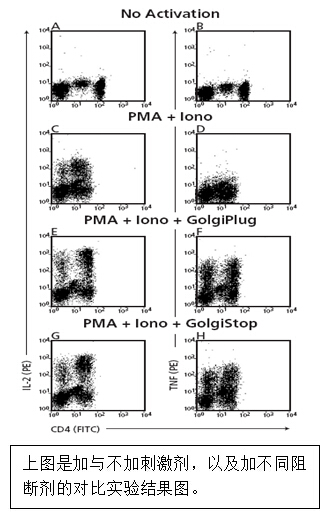流式實(shí)驗全套Buffer 流式實(shí)驗全套Buffer